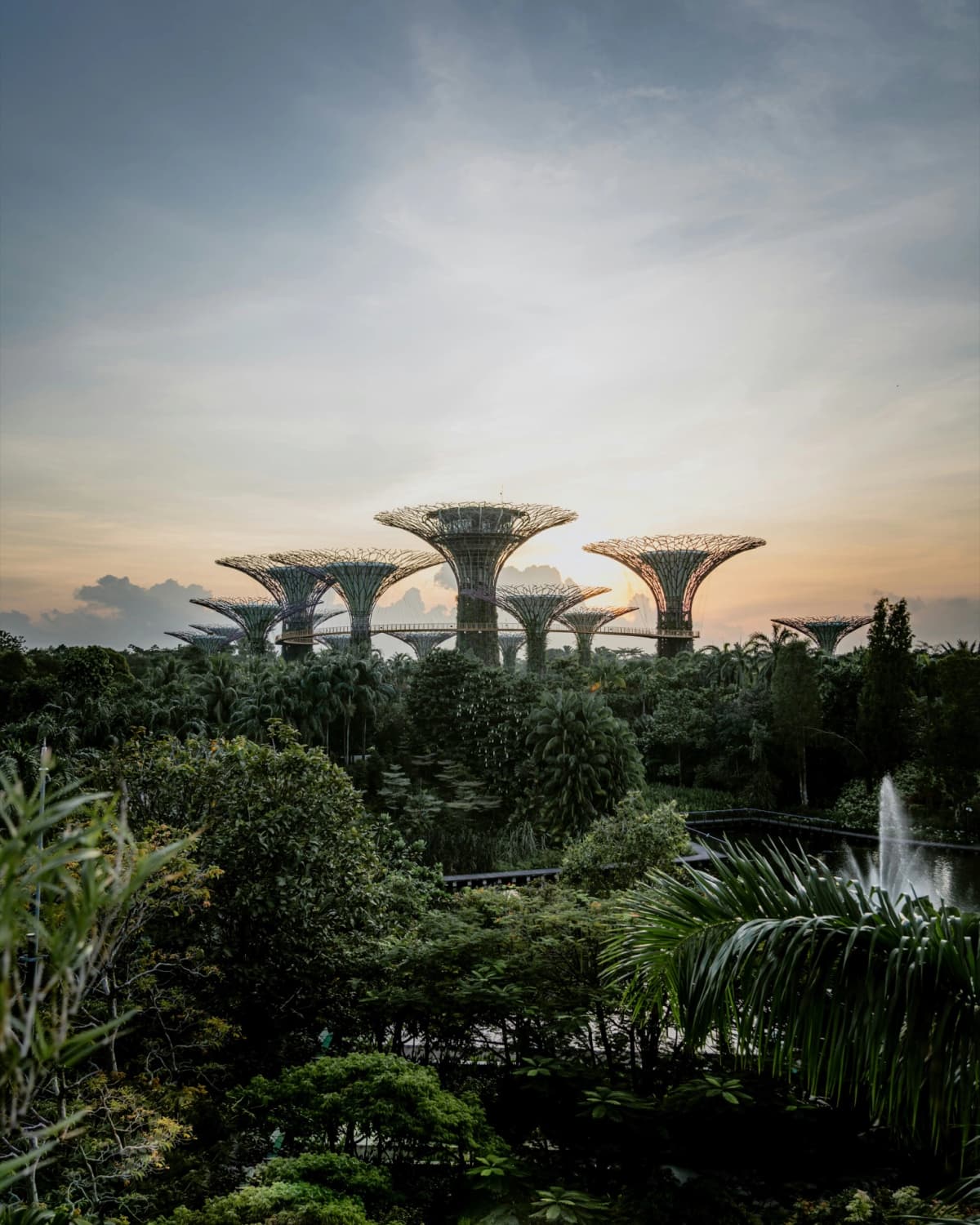 Singapore - Gardens by the Bay at sunset